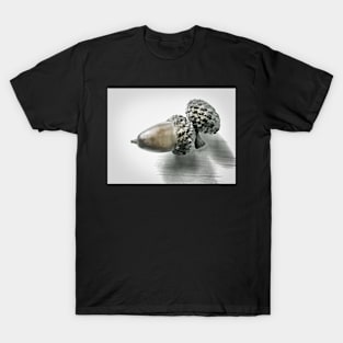 Winter Acorn T-Shirt